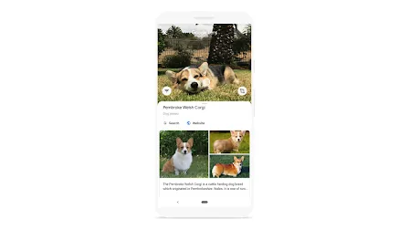 Exemplo visual do Google Lens em uma busca feita a partir de uma imagem