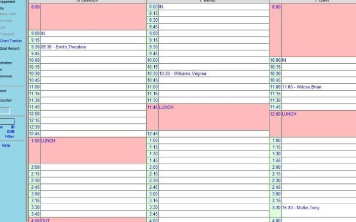 Calendário digital de atendimentos exibido em um software de agenda