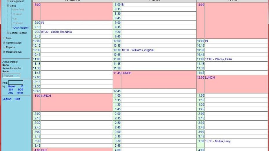 Calendário digital de atendimentos exibido em um software de agenda
