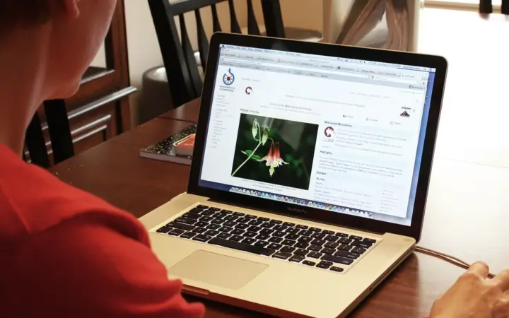 Pessoa usando um computador para testar um arquivo em um ambiente isolado