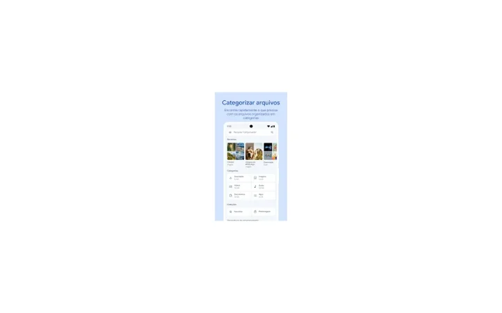 Tela oficial do Files do Google com a função de categorizar arquivos